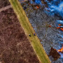 March 2020 (Shaker Village of Plesant Hill)